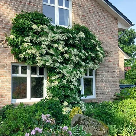 Apartamento Feldblick-kunst-oase, *